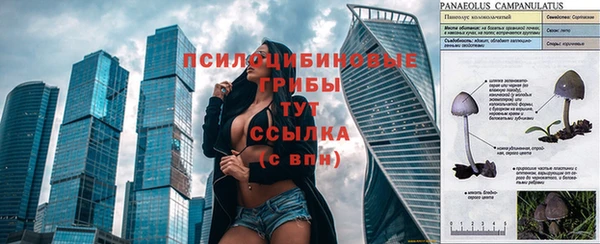 не бодяженный Белокуриха