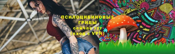 не бодяженный Белокуриха