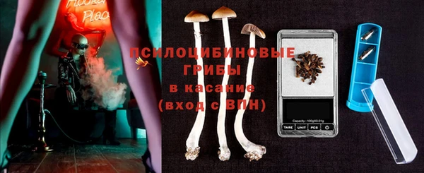 крисы Беломорск
